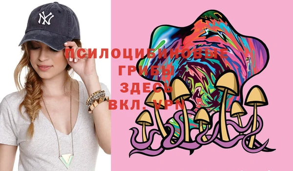 MDMA Богородицк