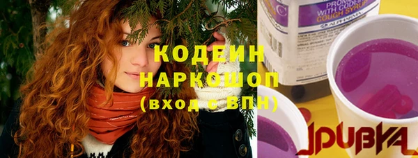 тгк Арсеньев