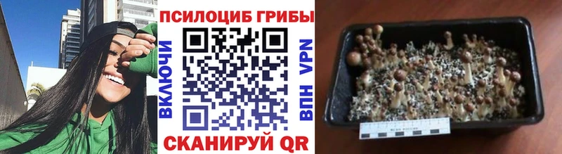 мориарти формула  Пучеж  Псилоцибиновые грибы мухоморы  сколько стоит 